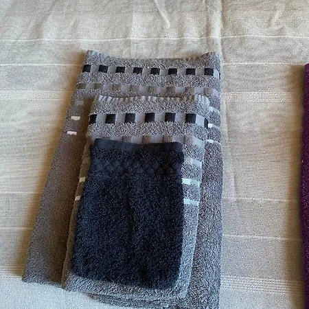 홈스테이 Reve Americain *