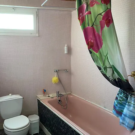 Reve Americain * Montournais